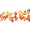 橡树叶花环-秋天的颜色-秋天的花