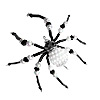 圣诞蜘蛛装饰套件-水晶或白色与黑色-圣诞蜘蛛装饰套件-圣诞蜘蛛制作