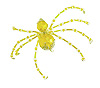 圣诞蜘蛛装饰套件-黄色-圣诞蜘蛛装饰套件-圣诞蜘蛛制作