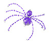 圣诞节蜘蛛装饰套件-紫色-圣诞节蜘蛛装饰套件-圣诞节蜘蛛制作