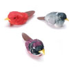 微型Birds - Mini Birds - Animal Miniatures - Birds