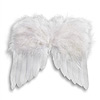 羽毛天使翅膀-白色-天使零件-天使翅膀-天使的翅膀