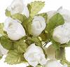 玫瑰花蕾束-奶油色/白色-玫瑰花蕾束