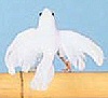 羽毛白鸽w/开放的翅膀-白色-羽毛白鸽w/开放的翅膀