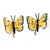 孤峰rfly for Crafts - Feather Butterflies - Golden Yellow - Decorative Butterflies - Artificial Butterflies - Butterflies for Crafts - Fake Butterfiles -