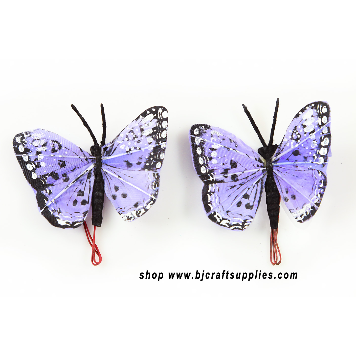 Feathered Butterflies - Monark Craft Butterflies