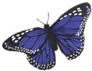 孤峰rfly for Crafts - Feather Butterflies - Blue - Decorative Butterflies - Artificial Butterflies - Butterflies for Crafts - Fake Blue Butterfiles -