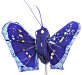 Painted Feather Butterfly - Royal Blue Wings - Miniature Painted Feather Butterflies